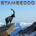 stambecco